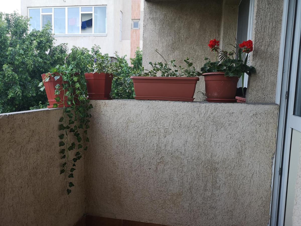Apartament Anca Apartment Constanta Ngoại thất bức ảnh